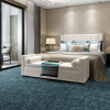Fantasia Hospitality carpet
