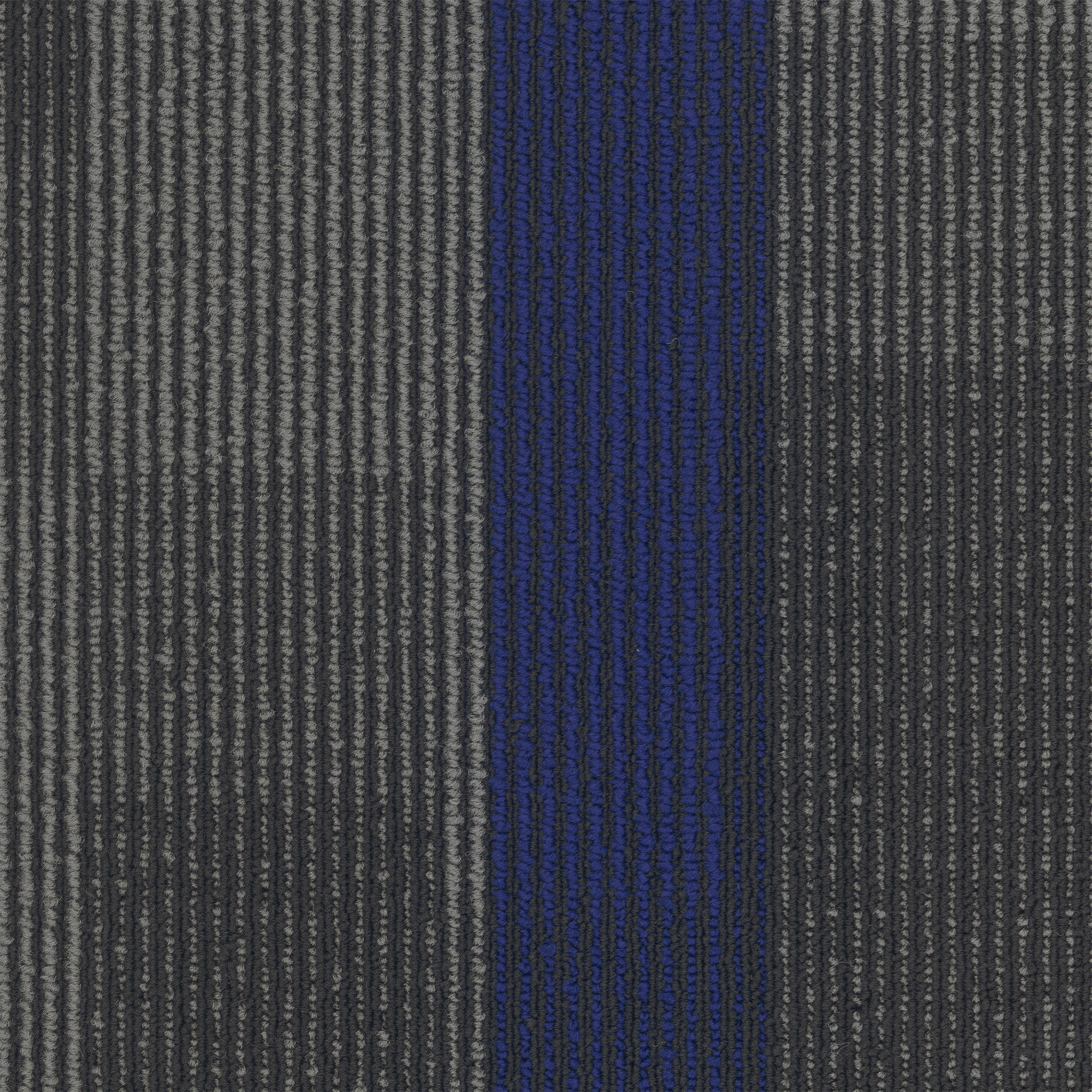 3135-indigo-magnify-pentz-flooring-carpet-tile