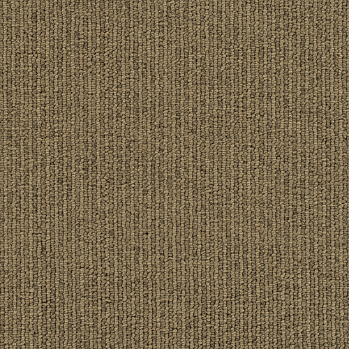 X2244 01 S